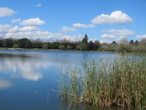 Hellyer County Park