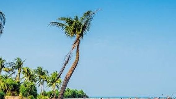 Saint Martin's Island North Beach