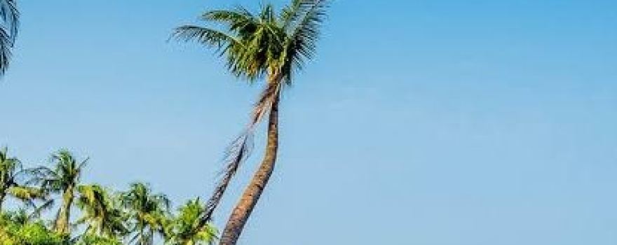 Saint Martin's Island North Beach