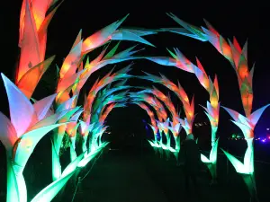 National Trust - Dunham Massey