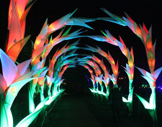 奧爾特靈厄姆 自由行套票