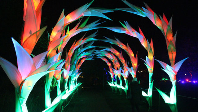 National Trust - Dunham Massey