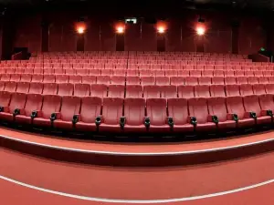 SILVER CINEMA