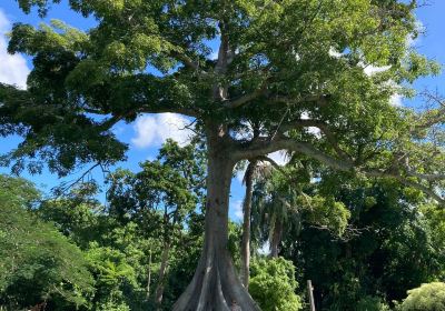 St George Village Botanical Gardens