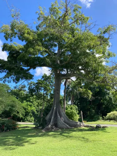 St George Village Botanical Gardens