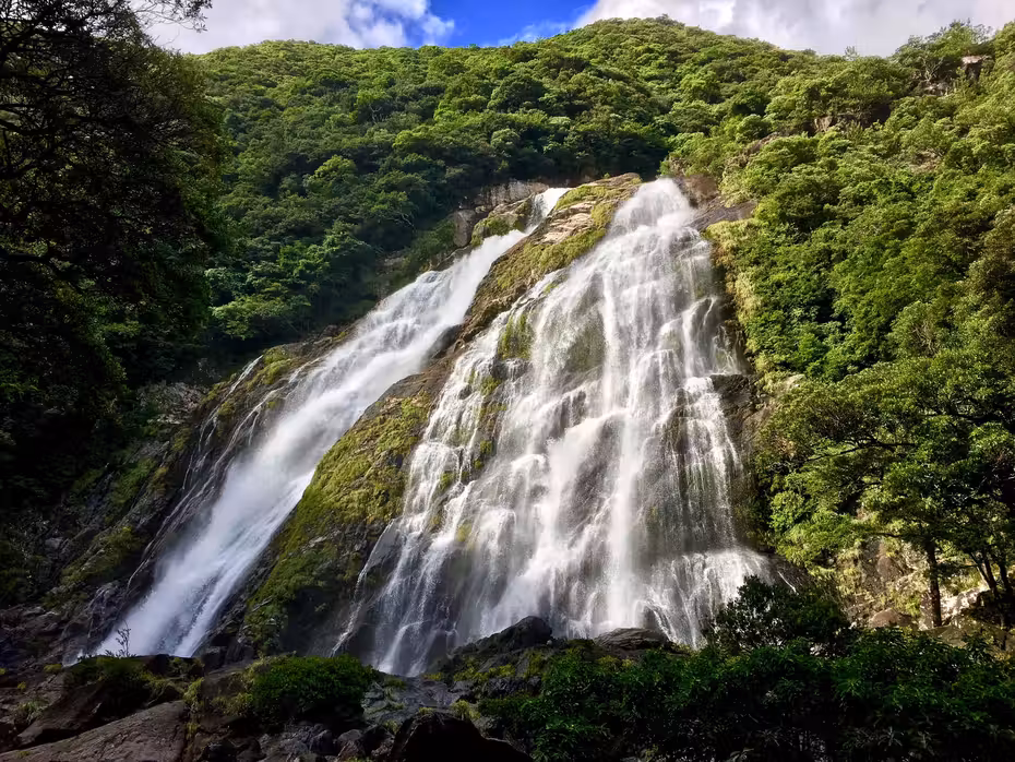 Voli ${{cityDName}} Yakushima