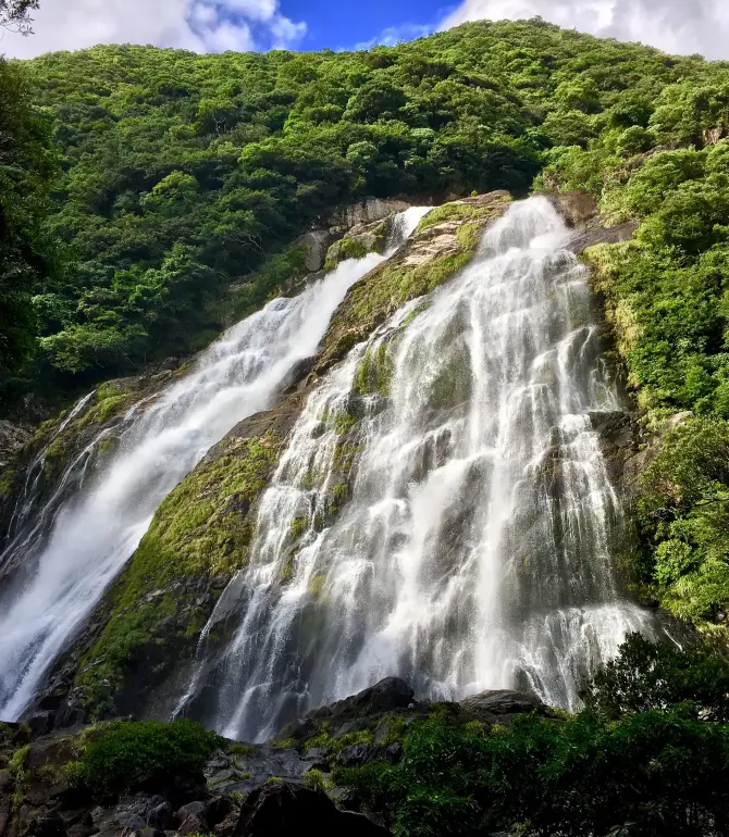 Yakushima