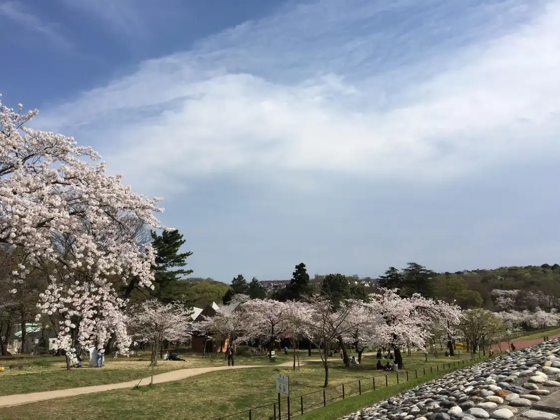 Hotels near Sayama Park