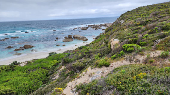 Kangaroo Island Outdoor Action