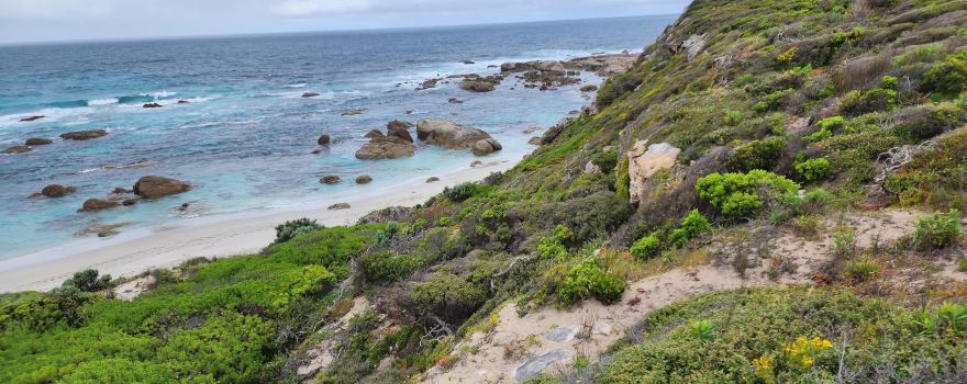 Kangaroo Island Outdoor Action