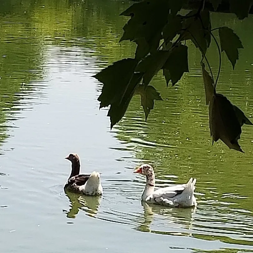 1_Leesburg Animal Park