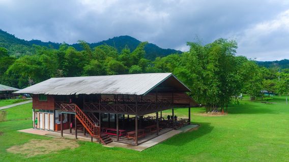 Zip Borneo (The Adventure Centre)