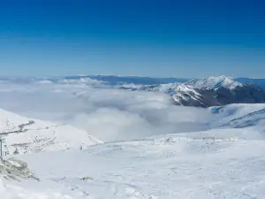Mt Dobson Ski Area
