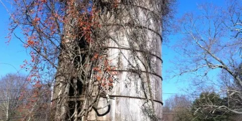 Beardsley's Cider Mill & Orchard