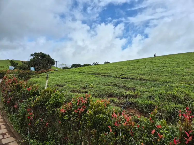 Hotels near Barren Hills