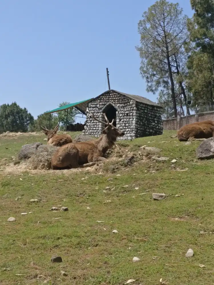 Hotels near Dhauladhar National Park