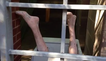 The Louisville Quest