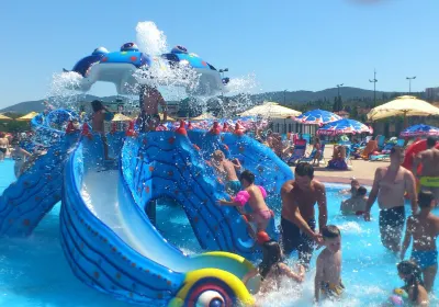 Aranđelovac