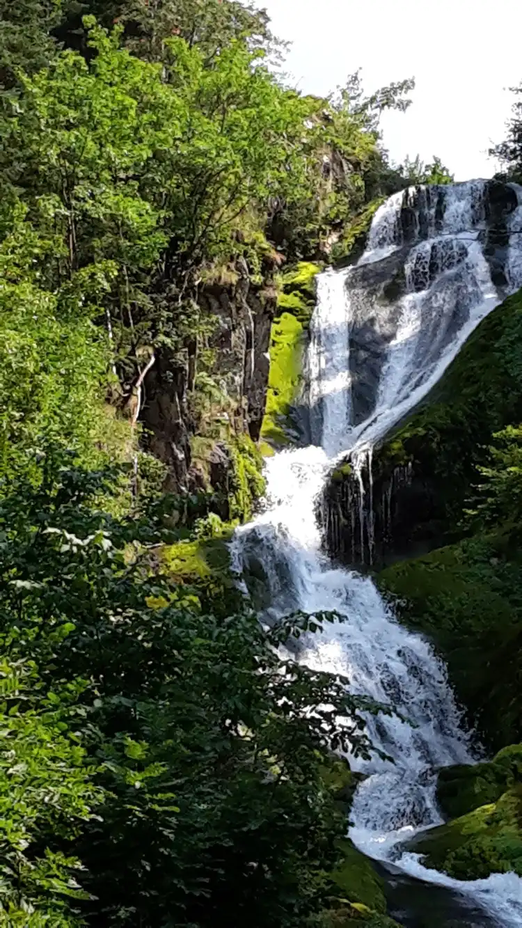 Hotels in Chiusa di Pesio