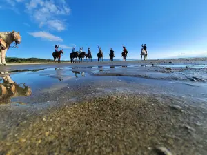 Hack'n Stay Golden Bay, Beach Horse Riding, Camping, Accommodation