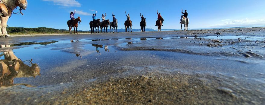 Hack'n Stay Golden Bay, Beach Horse Riding, Camping, Accommodation