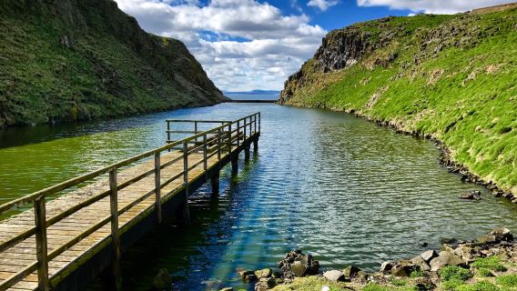 Isle of May National Nature Reserve