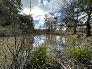 Malmsbury Botanic Garden and Lake