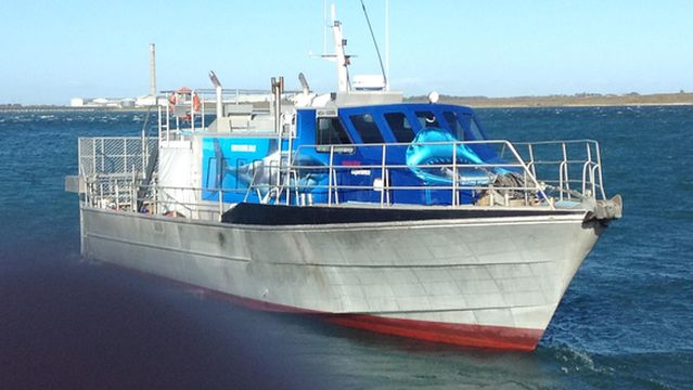 Shark Experience - Shark Cage Diving