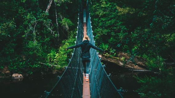Franklin-Gordon Wild Rivers National Park