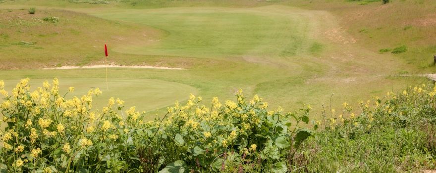 Daily Golf de Buc - Toussus Le Noble