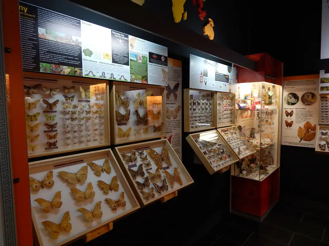 Hotels near Butterfly Museum in Wladyslawowo