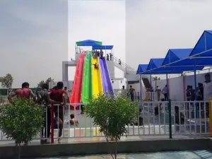 Dolphin Water Park