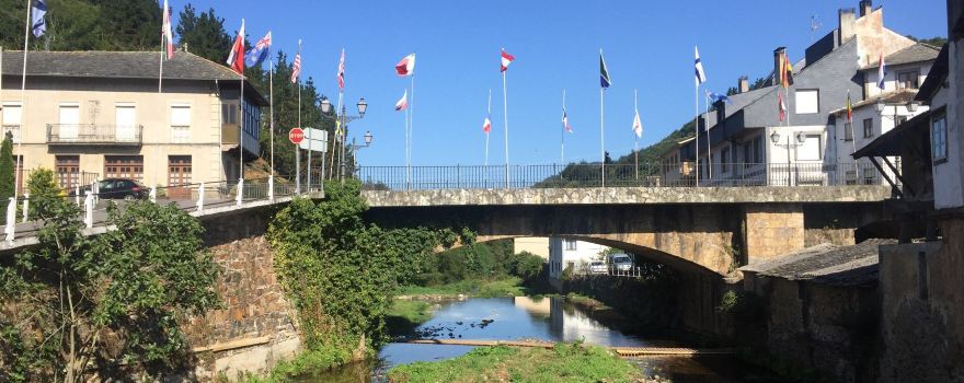 Tineo