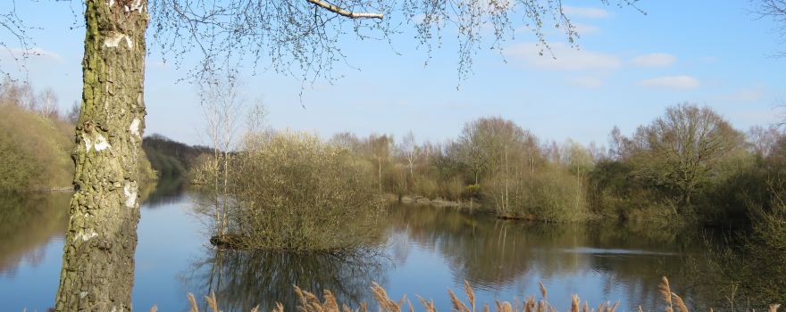 Whisby Nature Park