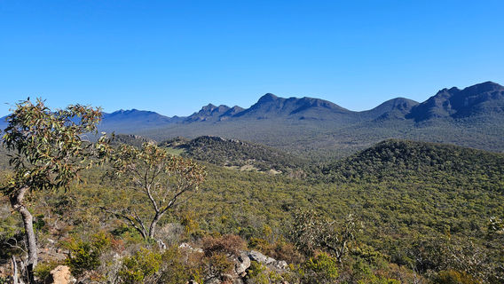 Halls Gap
