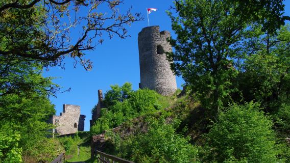 Burgruine Winneburg