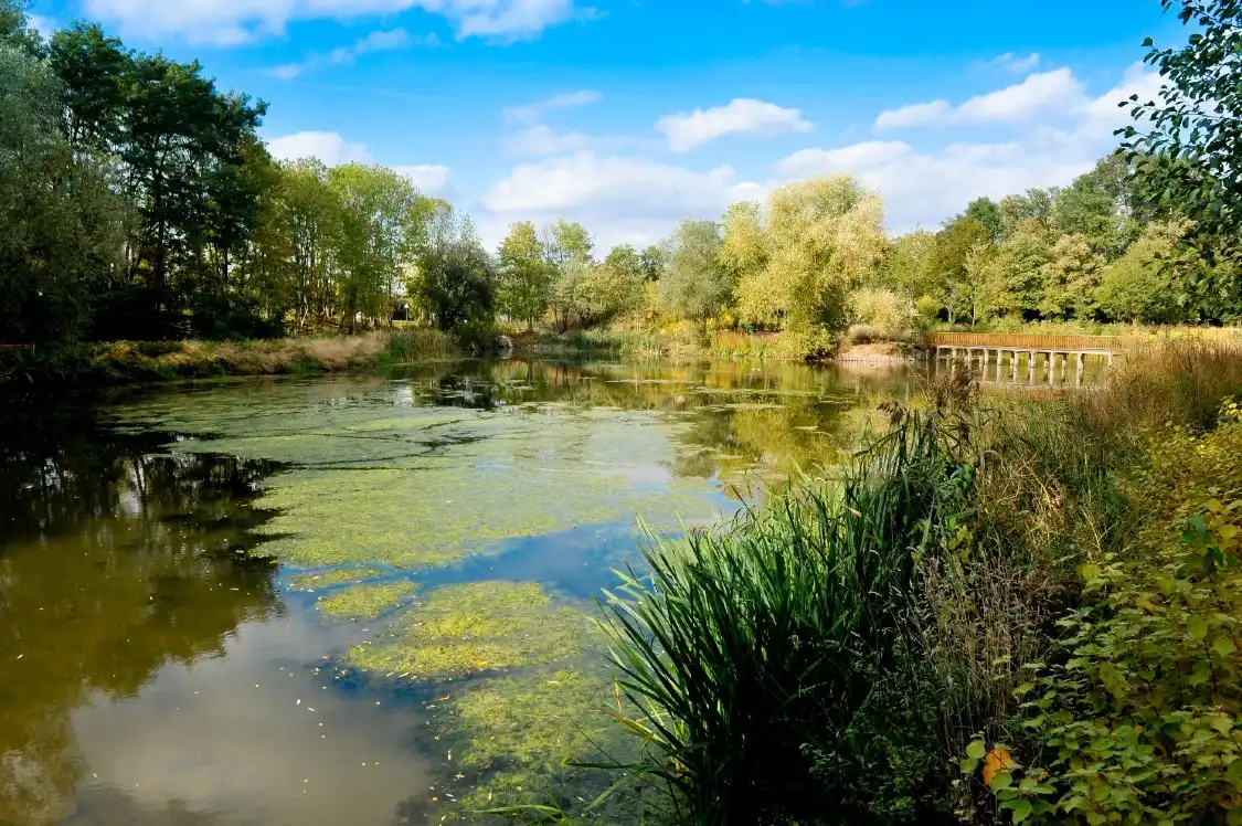Hotels near Parc de la Tuilerie