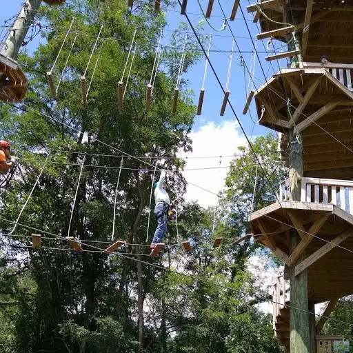 5_Moneky Business Aerial Adventure Park