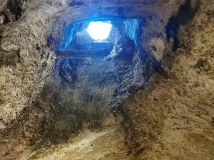 Murviedro - Bodega Histórica