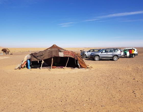 伊爾富德 自由行套票