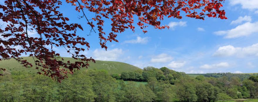 Cerne Giant Viewpoint