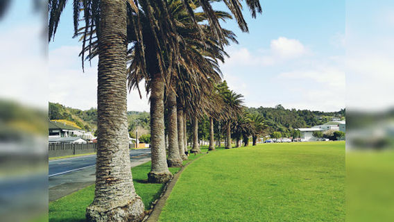 Kensington Sports Park
