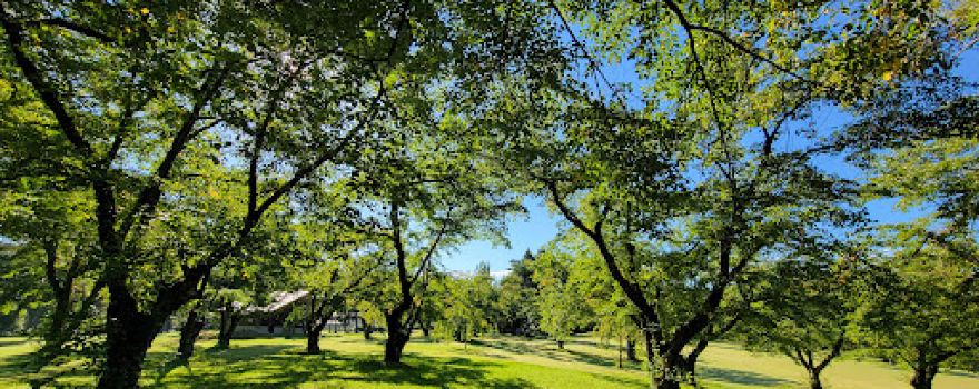 Kowataritai Park