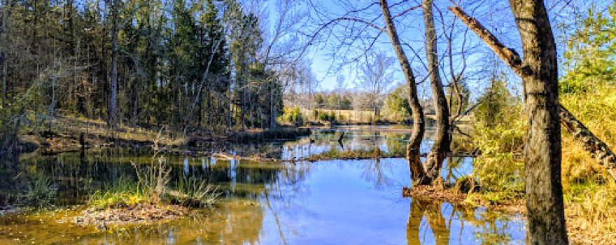 Spring Lake Country Club