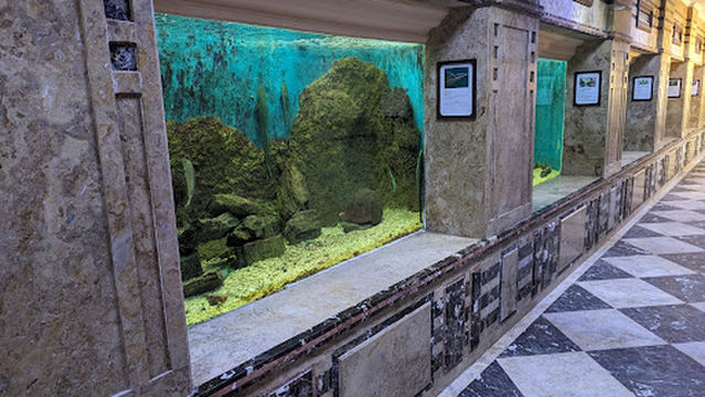 Alexandria Aquarium