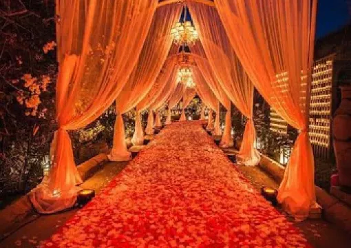 Radheshyam marriage palace