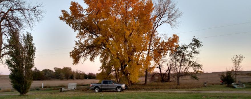 Lake's Lodge & Hunting Preserve