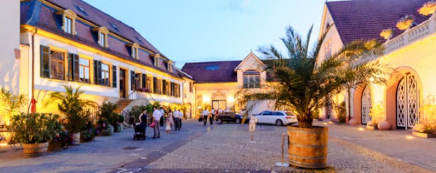 Palais Schloss Wachenheim