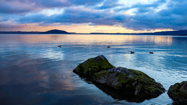 Lakefront Playground