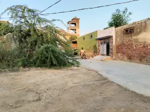Matli Gymkhana